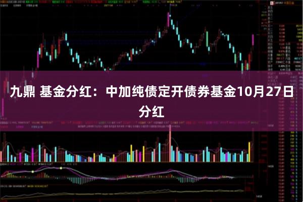 九鼎 基金分红：中加纯债定开债券基金10月27日分红