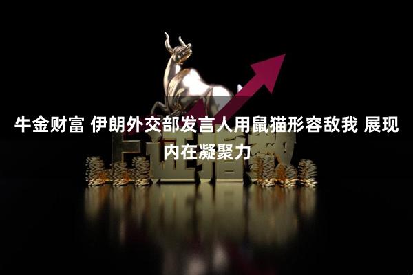 牛金财富 伊朗外交部发言人用鼠猫形容敌我 展现内在凝聚力